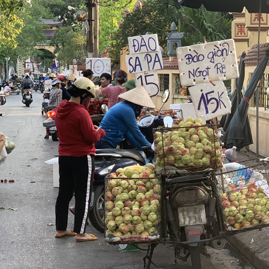 Dân buôn tiết lộ sự thật về đào Sa Pa bán tràn ngập chợicon