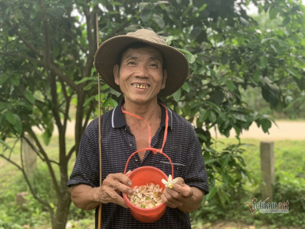 Đàn ông, đàn bà cả làng 'xe duyên' cho hoa, chờ ngày thu loại quả trăm triệu