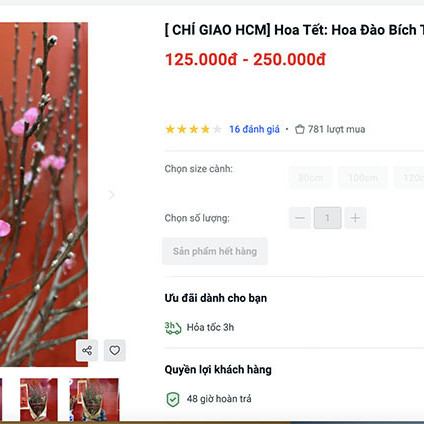 Đào Nhật Tân thắm sàn online, 2,8 triệu/cành vừa rao đã hết hàngicon