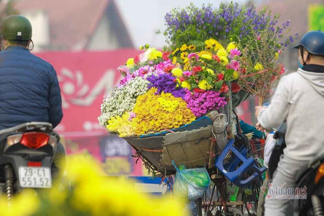 Đào Tết tăng giá hàng ngày, mỗi cành đắt thêm hàng trăm nghìn