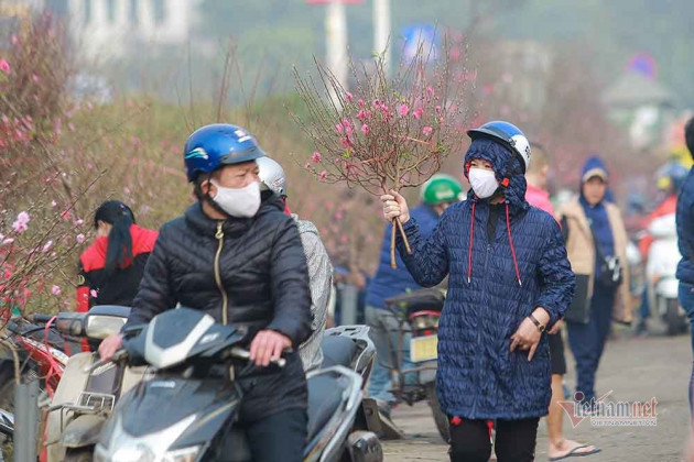 Đào Tết tăng giá hàng ngày, mỗi cành đắt thêm hàng trăm nghìn