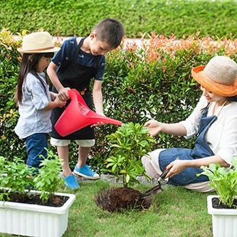 Đầu tư cho con từ việc chọn tổ ấm