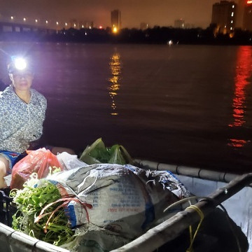 Dậy từ 2 giờ hái rau bí, kiếm tiền triệu nơi bãi giữa sông Hồngicon