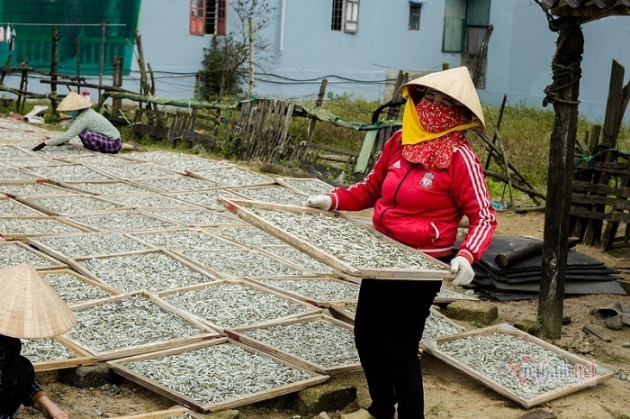 Đêm tối đen giong thuyền ra biển, vượt sóng săn loài cá 'sợ trăng'