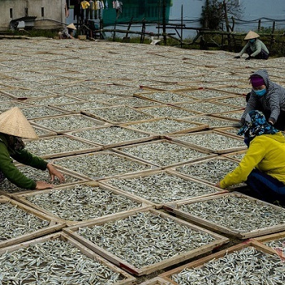 Đêm tối đen giong thuyền ra biển, vượt sóng săn loài cá 'sợ trăng'