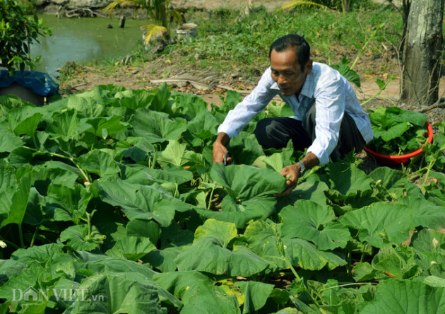 den u minh ha khong thu “de nhat dac san” nay thi phi nua doi nguoi hinh anh 8