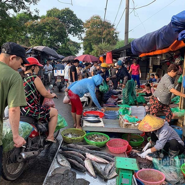 Đi 5km quả nho đắt gấp 4, từ chuồng ra chợ gà tăng giá 3 lầnicon