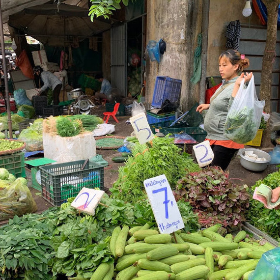 Đi chợ đầu mối, cầm 10.000 đồng đủ rau xanh ăn cả ngày cho gia đìnhicon