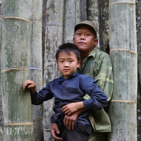 Đi tìm loài tre khổng lồ ví như 'báu vật' trên đỉnh núi thiêng Sơn Laicon