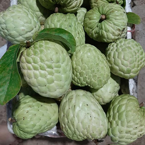 Điểm danh những đặc sản mang tên 'hoàng tộc' hái ra tiềnicon