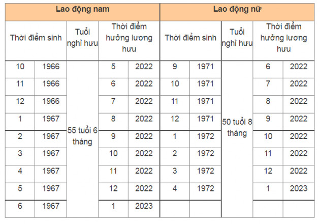 Điều kiện hưởng lương hưu năm 2022 với người lao động - Ảnh 2.