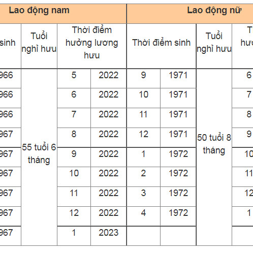 Điều kiện hưởng lương hưu năm 2022 với người lao độngicon