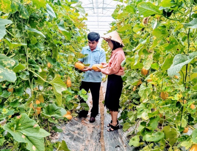 'Độc chiêu' trồng rau quả từ sữa chua hết 'đát'