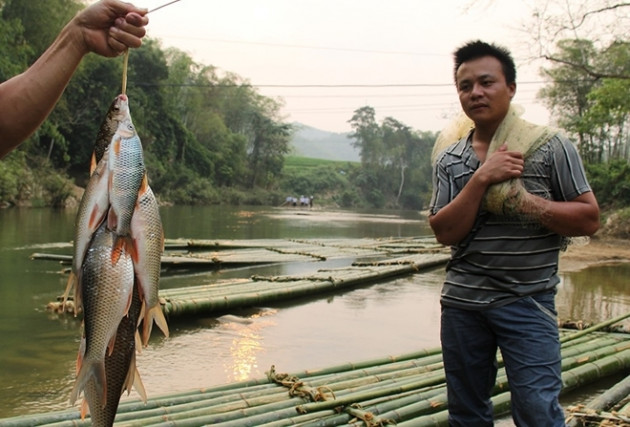 Độc đáo bánh chưng nhân cá suối