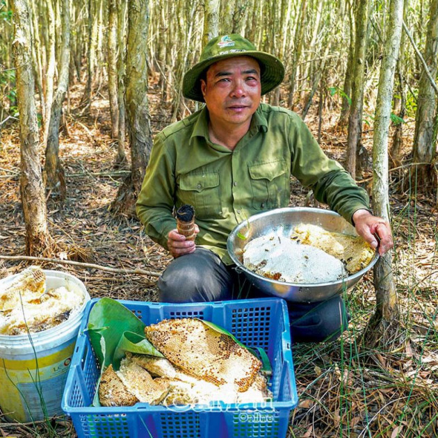 U Minh có lắm đặc sản từ ong nhưng có bao người biết tới thứ đặc sản bốc mùi nhất trong số đó: mắm ong - Ảnh 1.