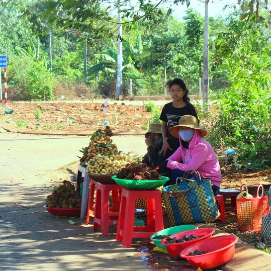 Độc lạ các loại trái cây rừng tràn xuống phốicon