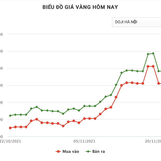 Đu theo đỉnh giá vàng, người mua lỗ đậm 3 triệu/lượngicon