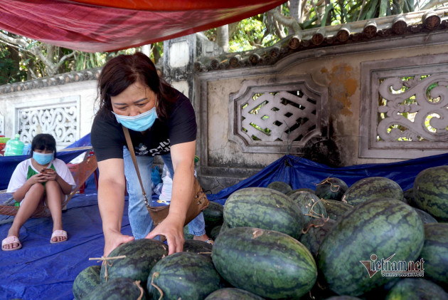 Dưa hấu 5 nghìn, thanh long 8 nghìn: Phơi nắng vỉa hè chờ giải cứu