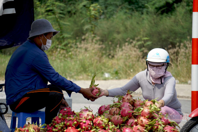 Dưa hấu 5 nghìn, thanh long 8 nghìn: Phơi nắng vỉa hè chờ giải cứu