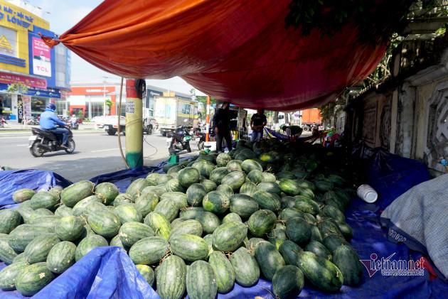 Dưa hấu 5 nghìn, thanh long 8 nghìn: Phơi nắng vỉa hè chờ giải cứu