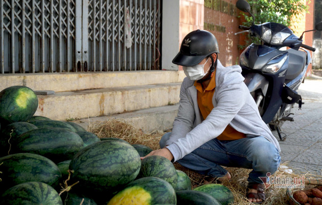 Dưa hấu 5 nghìn, thanh long 8 nghìn: Phơi nắng vỉa hè chờ giải cứu