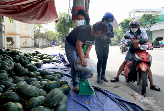 Dưa hấu 5 nghìn, thanh long 8 nghìn: Phơi nắng vỉa hè chờ giải cứu