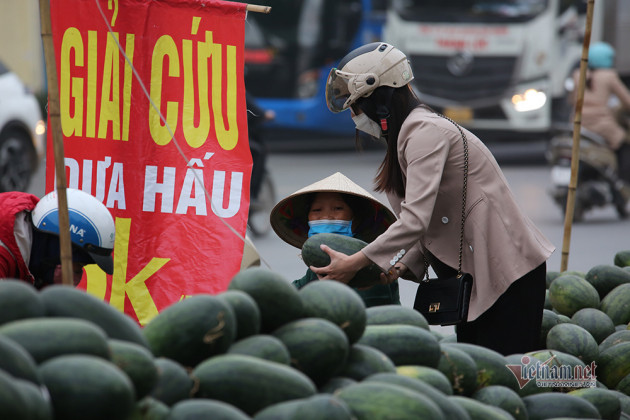 Hà Nội triền miên giải cứu: Những đống dưa hấu khắp vỉa hè