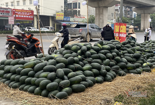 Hà Nội triền miên giải cứu: Những đống dưa hấu khắp vỉa hè