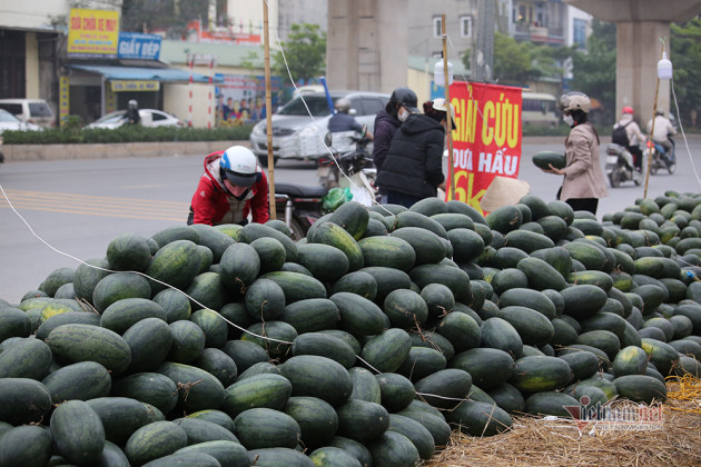 Hà Nội triền miên giải cứu: Những đống dưa hấu khắp vỉa hè