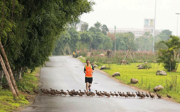 Ecopark Marathon 2021, cung đường chạy giữa thiên nhiên tuyệt đẹp trước giờ G