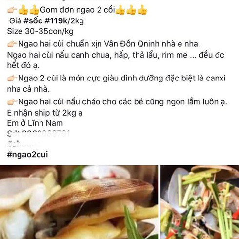 Gắn mác 'giải cứu', nhiều shop online rao bán ngao giá 'trên trời'