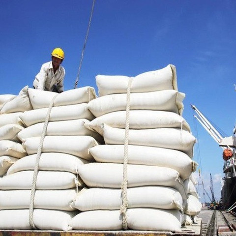 Gạo đầy kho, DN và các tỉnh đề xuất cho xuất khẩu trở lạiicon