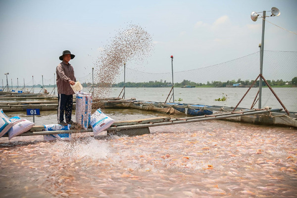 Gia đình Việt ‘chuộng’ tiêu dùng xanh, ngành bán lẻ phát triển bền vững