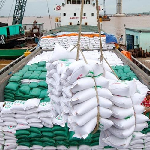 Giá gạo xuất khẩu rớt xuống mức thấp nhất trong 2 nămicon