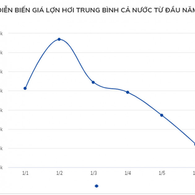 Giá lợn hơi lao dốc, thịt lợn ngoài chợ bao giờ mới rẻ?icon