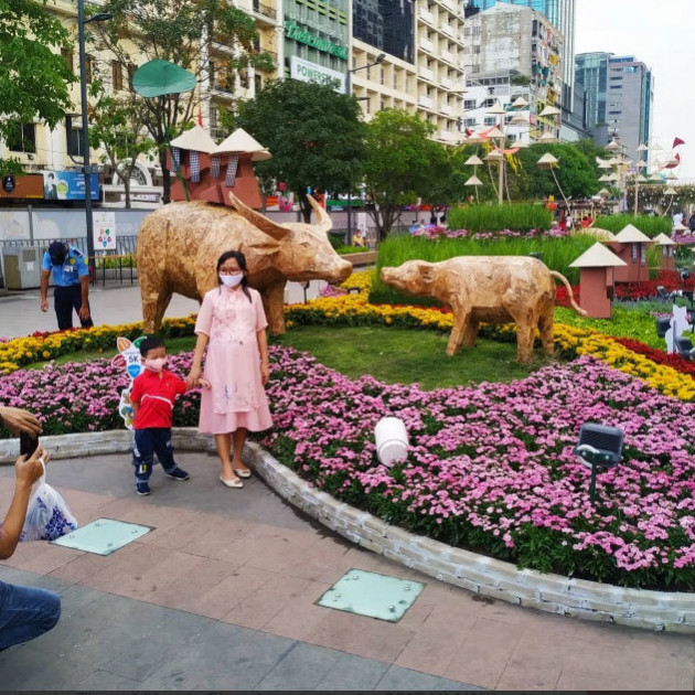 Giá nhà đắt hơn, học phí mắc hơn, vì đâu TP.HCM phải nhường vị trí quán quân thành phố đắt đỏ nhất Việt Nam cho Hà Nội?icon