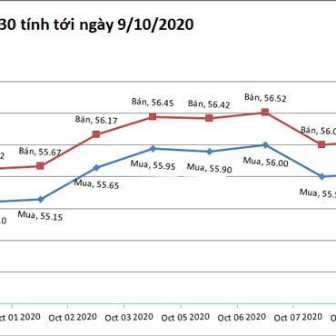 Giá vàng hôm nay 9/10: Trump-Biden căng thẳng, vàng biến động mạnhicon