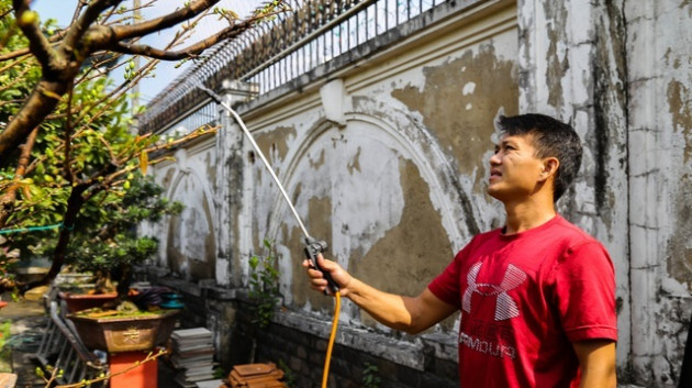 Gian nan nghề cho thuê mai chơi Tết trong dịch Covid-19