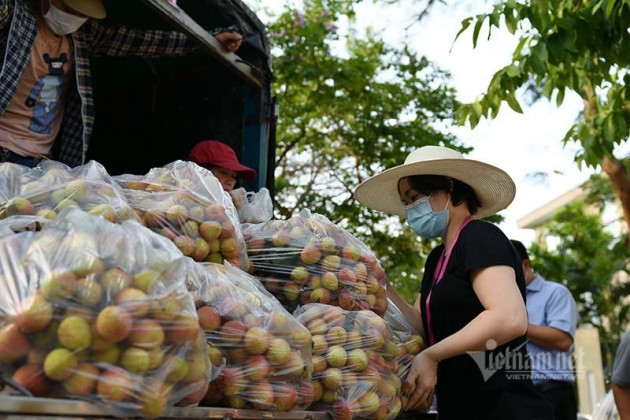 Giữa trưa nắng rát, người Hà Nội mua vải thiều ủng hộ Bắc Giang