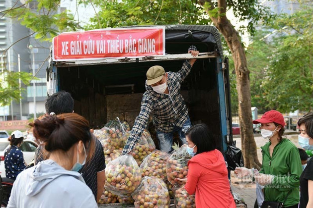 Giữa trưa nắng rát, người Hà Nội mua vải thiều ủng hộ Bắc Giang