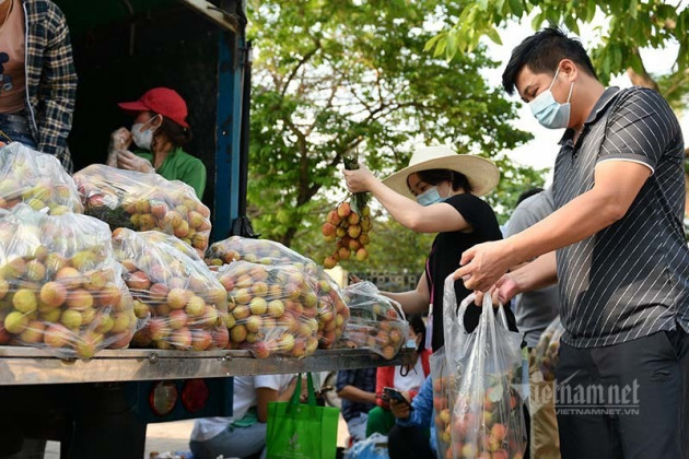 Giữa trưa nắng rát, người Hà Nội mua vải thiều ủng hộ Bắc Giang