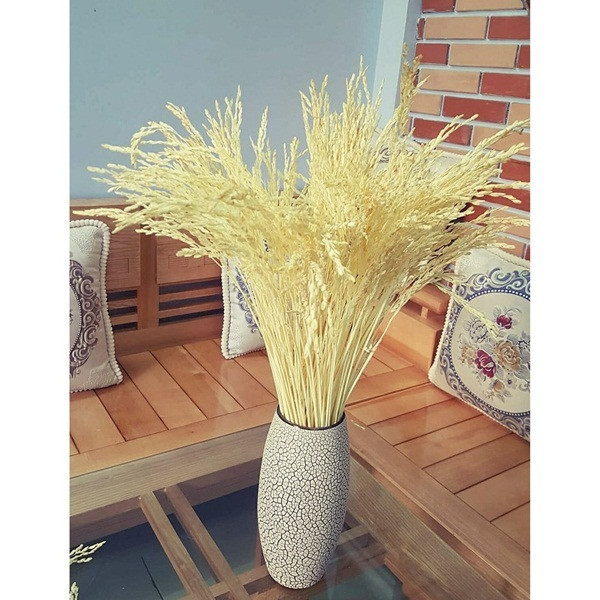 Gợi ý những loại trái cây không thể thiếu trên bàn thờ, phòng khách ngày Tết