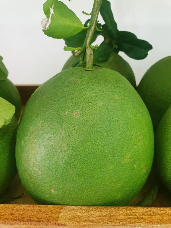 Gợi ý những loại trái cây không thể thiếu trên bàn thờ, phòng khách ngày Tết