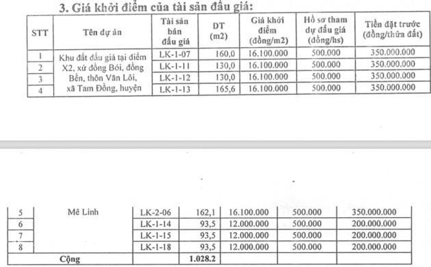 Hà Nội đấu giá đất khởi điểm hơn 13 triệu/m2, đặt trước 10 tỷ một hồ sơ