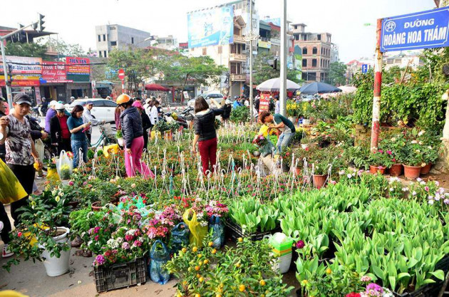 Ha Noi: Muon sam hoa Tet dep, re… den ngay 5 cho hoa Tet nay-Hinh-10