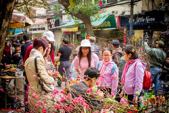 Ha Noi: Muon sam hoa Tet dep, re… den ngay 5 cho hoa Tet nay-Hinh-2