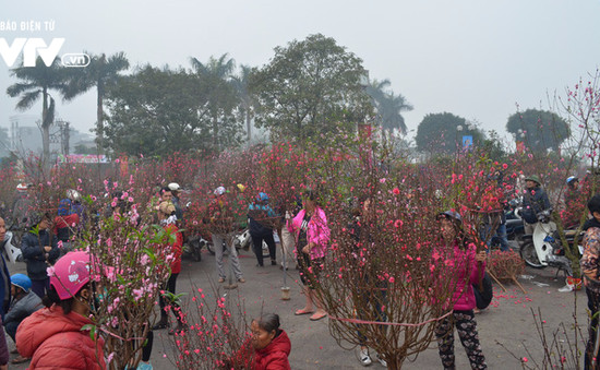 Ha Noi: Muon sam hoa Tet dep, re… den ngay 5 cho hoa Tet nay-Hinh-7