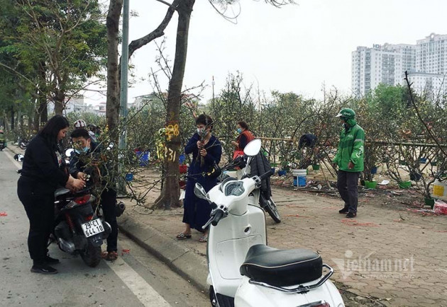 Hà Thành mua hoa lê chơi Rằm, dân buôn bán hết veo 1.000 cành