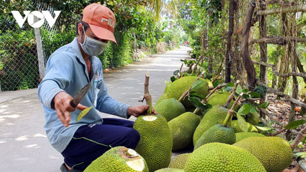 Hải sản rẻ chưa từng có, dân Hà Nội tranh thủ ăn sang