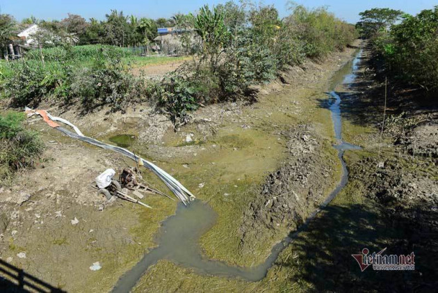 Hạn mặn đạt đỉnh, Bộ Nông nghiệp yêu cầu ứng phó gấpicon